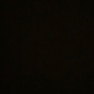 Meet your Posher, Ellie